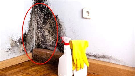 Transform Your Home with Magic Anti-Mold Peel and Stick Tiles for Your Walls